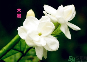 大暑是幾月幾日？大暑是什么意思？