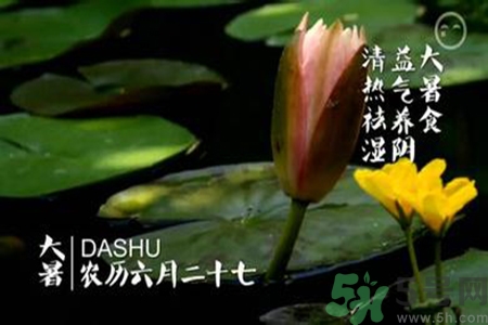 大暑是入伏嗎？大暑是最熱的時(shí)候嗎？