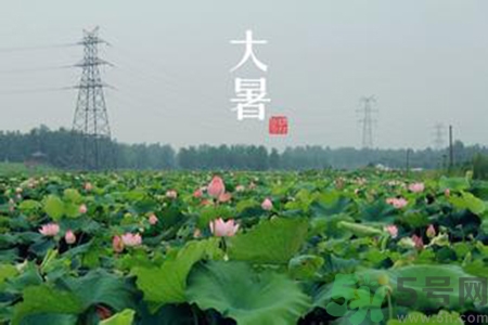 大暑吃什么養(yǎng)生？大暑吃什么好？