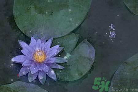 大暑吃什么養(yǎng)生？大暑吃什么好？