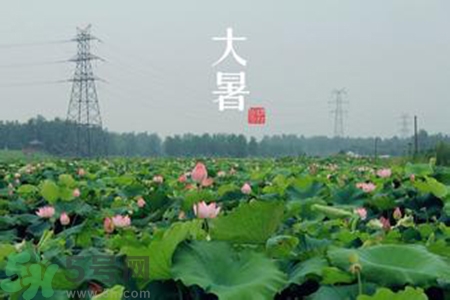 大暑吃什么水果？大暑吃什么水果養(yǎng)生？
