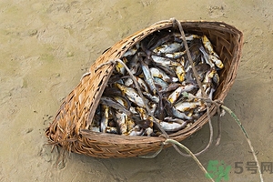洪水里的魚能吃嗎？洪水里的魚可不可以吃？