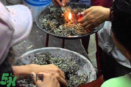 夏天可以用艾草驅(qū)蚊嗎？夏天可不可以用艾草驅(qū)蚊？