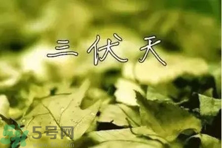 三伏天什么時候開始？三伏天是什么意思？