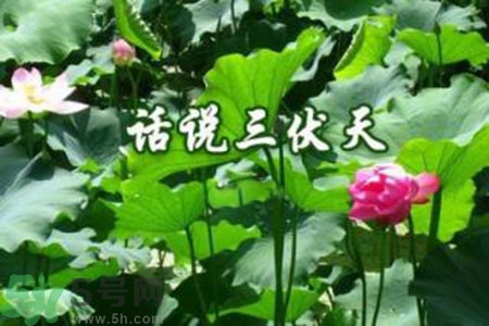 三伏天吃什么？三伏天傳統(tǒng)美食有哪些？