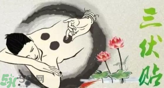 三伏貼的印子怎么去掉？三伏貼的印記多久才會(huì)消失？
