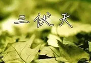 三伏天吃什么？三伏天傳統(tǒng)美食有哪些？