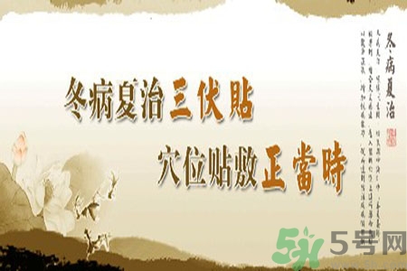 貼三伏貼癢怎么回事？貼三伏貼過(guò)敏怎么辦？