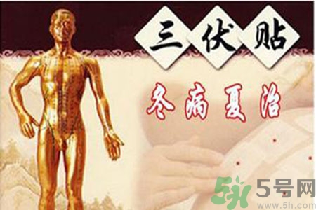 胃病可以貼三伏貼嗎？胃病貼三伏貼貼哪里？