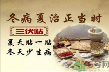 胃病可以貼三伏貼嗎？胃病貼三伏貼貼哪里？