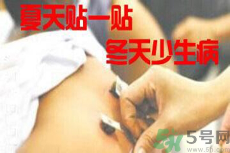 腰痛貼三伏貼有用嗎？腰痛三伏貼貼哪個(gè)穴位？