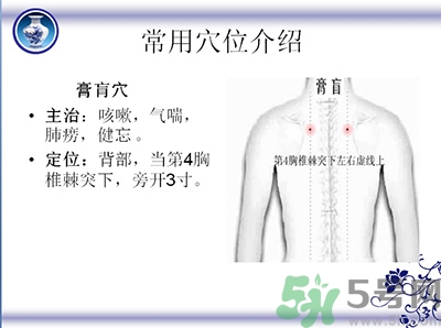 三伏貼可以貼肚臍嗎？三伏貼可以貼肚臍眼嗎？