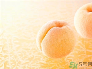 杏子不太熟能吃嗎？杏子不太熟怎么辦？