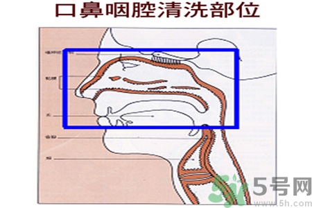 鼻炎能用生理鹽水清理鼻腔嗎？鼻炎能不能用生理鹽水清理鼻腔？