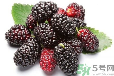 桑葚怎么洗？桑葚怎么保存？
