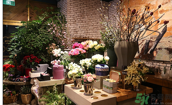 野獸派的花多少錢(qián)？野獸派的花哪里買(mǎi)？