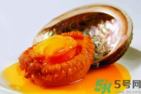 鮑魚如何挑選？鮑魚如何保存？