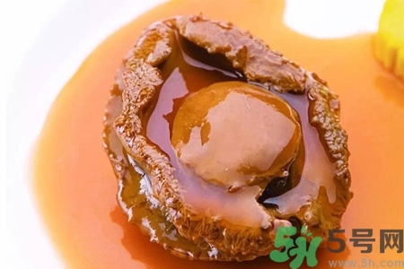 鮑魚(yú)如何挑選？鮑魚(yú)如何保存？