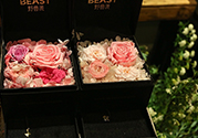 野獸派的花多少錢？野獸派的花哪里買？