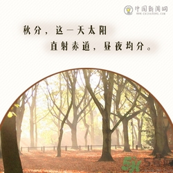 立秋是秋分嗎？立秋和秋分的區(qū)別？