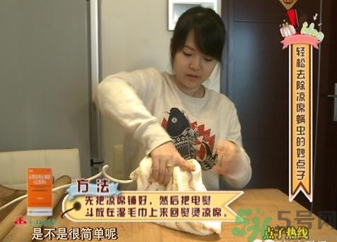 怎么判斷涼席有沒有螨蟲？涼席上的螨蟲怎么去除？