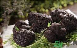 黑松露孕婦可以吃嗎?懷孕能吃黑松露嗎? 黑松露孕婦可以吃嗎?懷孕能吃黑松露嗎?