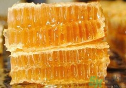 糖尿病可以吃蜂膠嗎？吃蜂膠降血糖嗎？