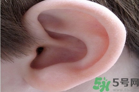 耳朵癢是怎么回事？耳朵癢怎么辦？