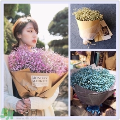 七夕送女朋友什么花？七夕送女朋友花送幾朵？
