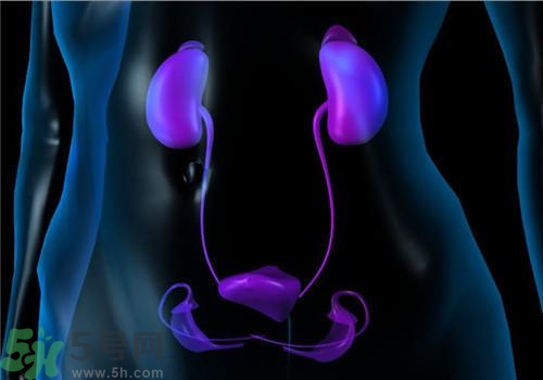 慢性腎炎能治好嗎？慢性腎炎能活多久？