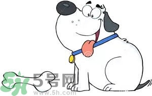 七夕單身狗怎么過？單身怎么過七夕？