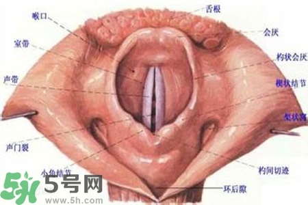 慢性咽炎的發(fā)病因素？慢性咽炎的并發(fā)癥有哪些？