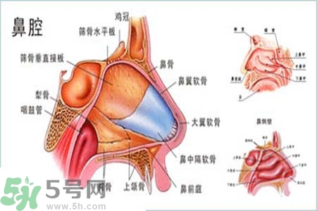 鼻竇炎的護(hù)理措施？鼻竇炎的飲食護(hù)理？