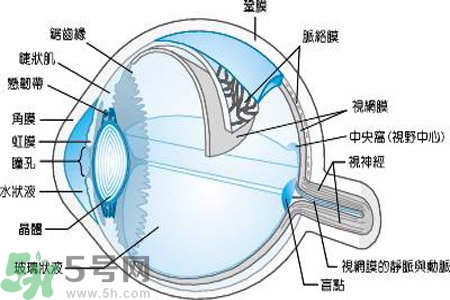 近視眼是什么？近視眼的癥狀有哪些？