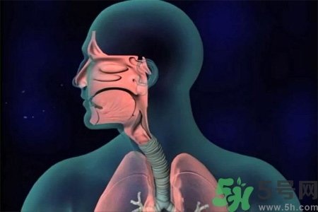 過敏性鼻炎的高發(fā)人群有哪些？如何預(yù)防過敏性鼻炎？