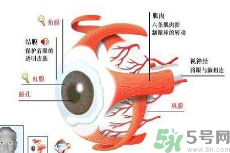 白內(nèi)障的護理措施是什么？白內(nèi)障的飲食護理有哪些？