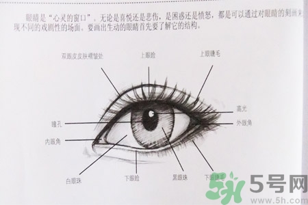 白內(nèi)障的發(fā)病因素是什么？白內(nèi)障并發(fā)癥有哪些？