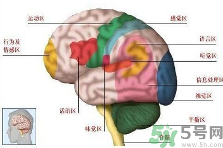 腦出血的高發(fā)人群有哪些？如何預(yù)防腦出血？