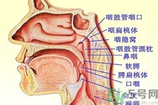 鼻咽癌的日常措施是什么？鼻咽癌注意的飲食有哪些？