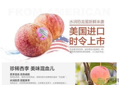 恐龍蛋水果孕婦可以吃嗎？恐龍蛋的禁忌