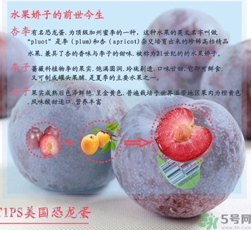 恐龍蛋水果孕婦可以吃嗎？恐龍蛋的禁忌