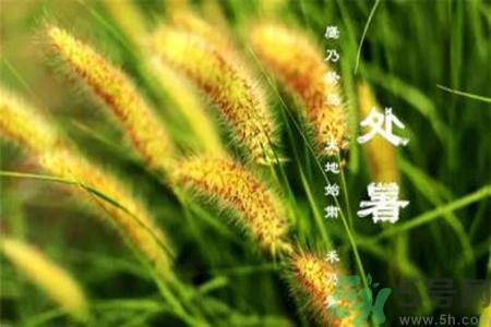 處暑出生的人怎么取名？處暑出生的人的命運(yùn)？