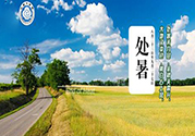 處暑出生的人怎么取名？處暑出生的人的命運？
