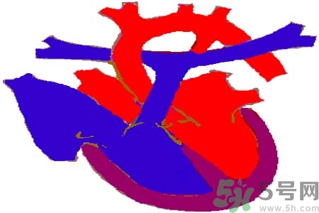 心臟病是怎么形成的？易發(fā)人群有哪些？