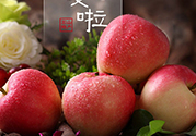 孕婦可以吃嘎啦果嗎？嘎啦果的禁忌