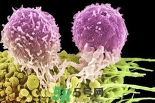 不宜過多食用辣椒的人群有哪些？夏天吃辣椒的好處有哪些？