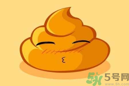 憋大便的危害有哪些？每天排便幾次算正常？