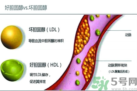膽固醇高會(huì)引發(fā)什么疾病嗎？如何控制高膽固醇？