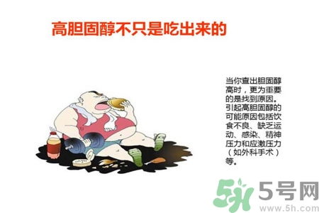 高膽固醇會影響胖瘦嗎？高膽固醇和胖瘦有關(guān)系嗎？