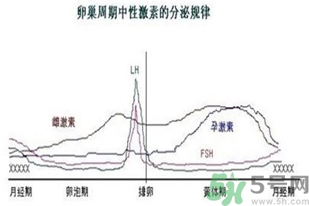 如何分清常見的激素藥？如何正確使用激素類藥物？